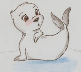 Little Seal.