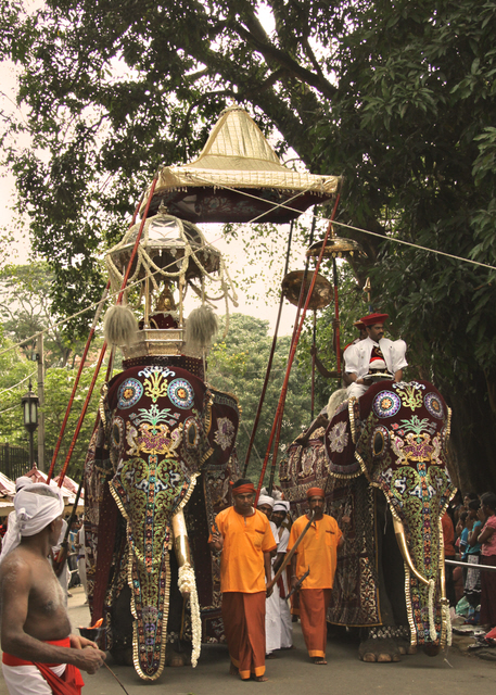 Kandy Perahera, Sri Lanka.