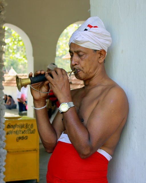 Temple Musician, Sri Lanka