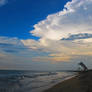 Early Evening