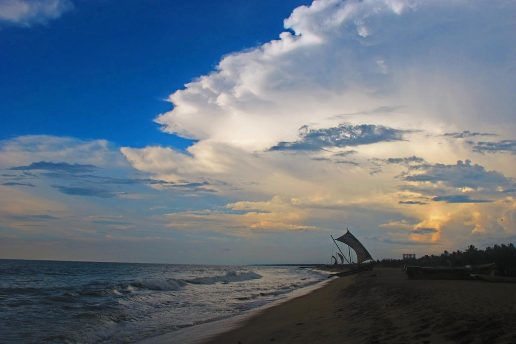 Early Evening