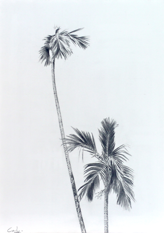 *Two Coconut Trees*