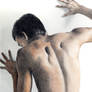 *A Man's Back*