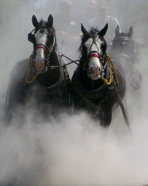 Dusty Driving