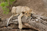 IMG 1322-1200px by kparks IMG 1322-1200px by kparks