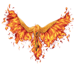 Moltres by AyumiRiddle