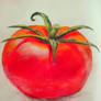 Watercolor Tomato - Quick Painting