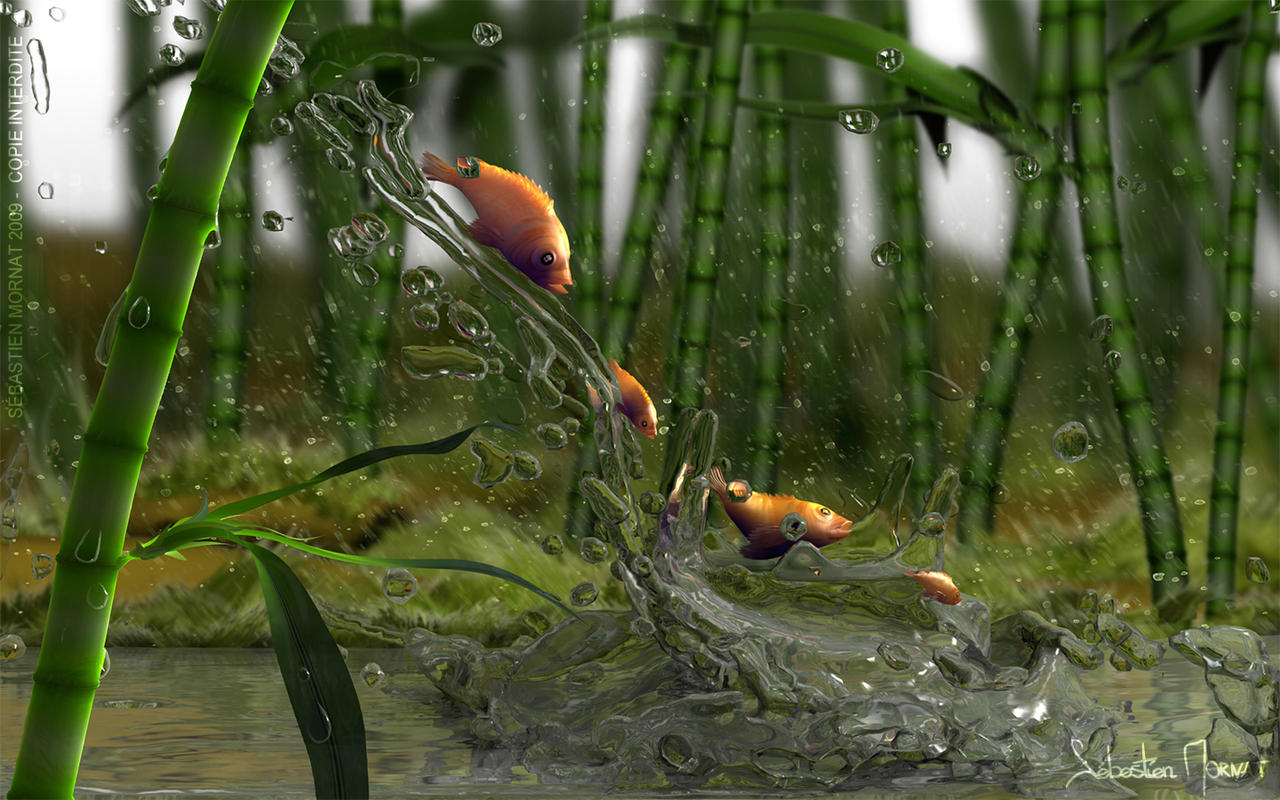 poissons sous la pluie