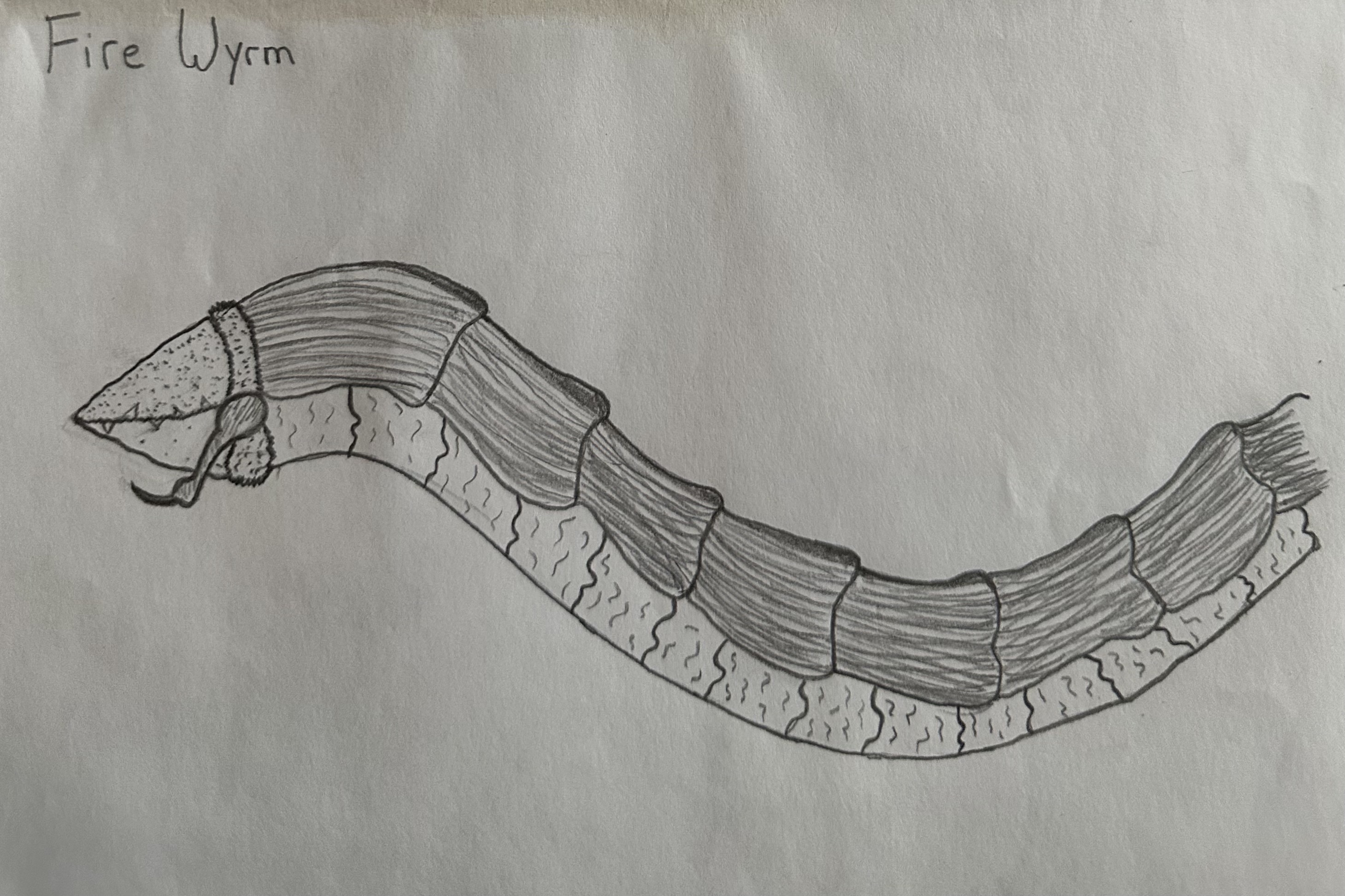 Fireworm Draw The Fire Worm by carlilespartan1 on DeviantArt