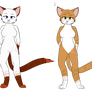 Cat Designs (CLOSED)