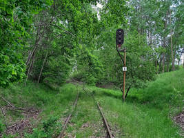 Abandoned tracks