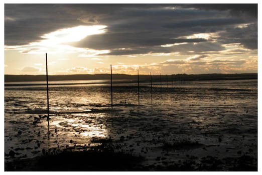 Holy Island