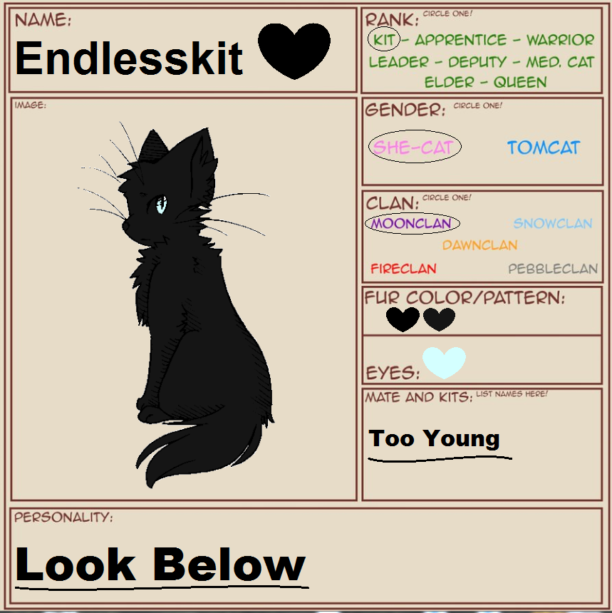 TWG ~ Application Sheet ~ Endlesskit ~