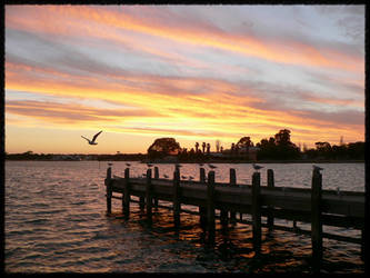 Mandurah - Seagull City