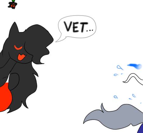 Vet