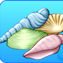 [0] Seashells