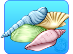[0] Seashells by IsomaraIndex