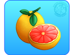 [0] Grapefruit by IsomaraIndex