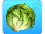 [0] Lettuce by IsomaraIndex