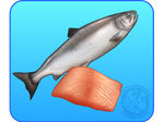 [0] Salmon by IsomaraIndex