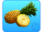 [0] Pineapple by IsomaraIndex
