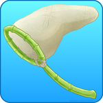 Bug Net by IsomaraIndex