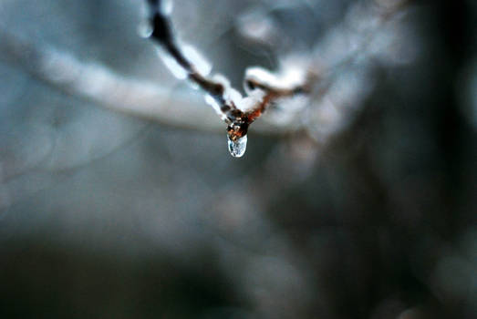 Frozen Tear