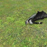 sephiroth just laying there