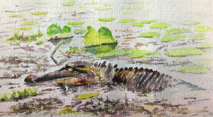 Florida Menace by Trustkey on DeviantArt