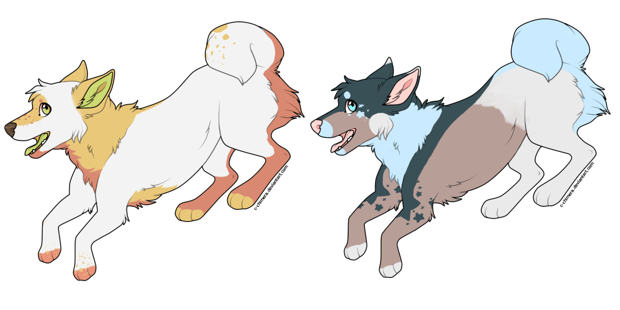 point adoptables