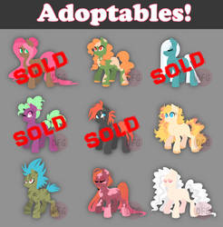 Adoptables!
