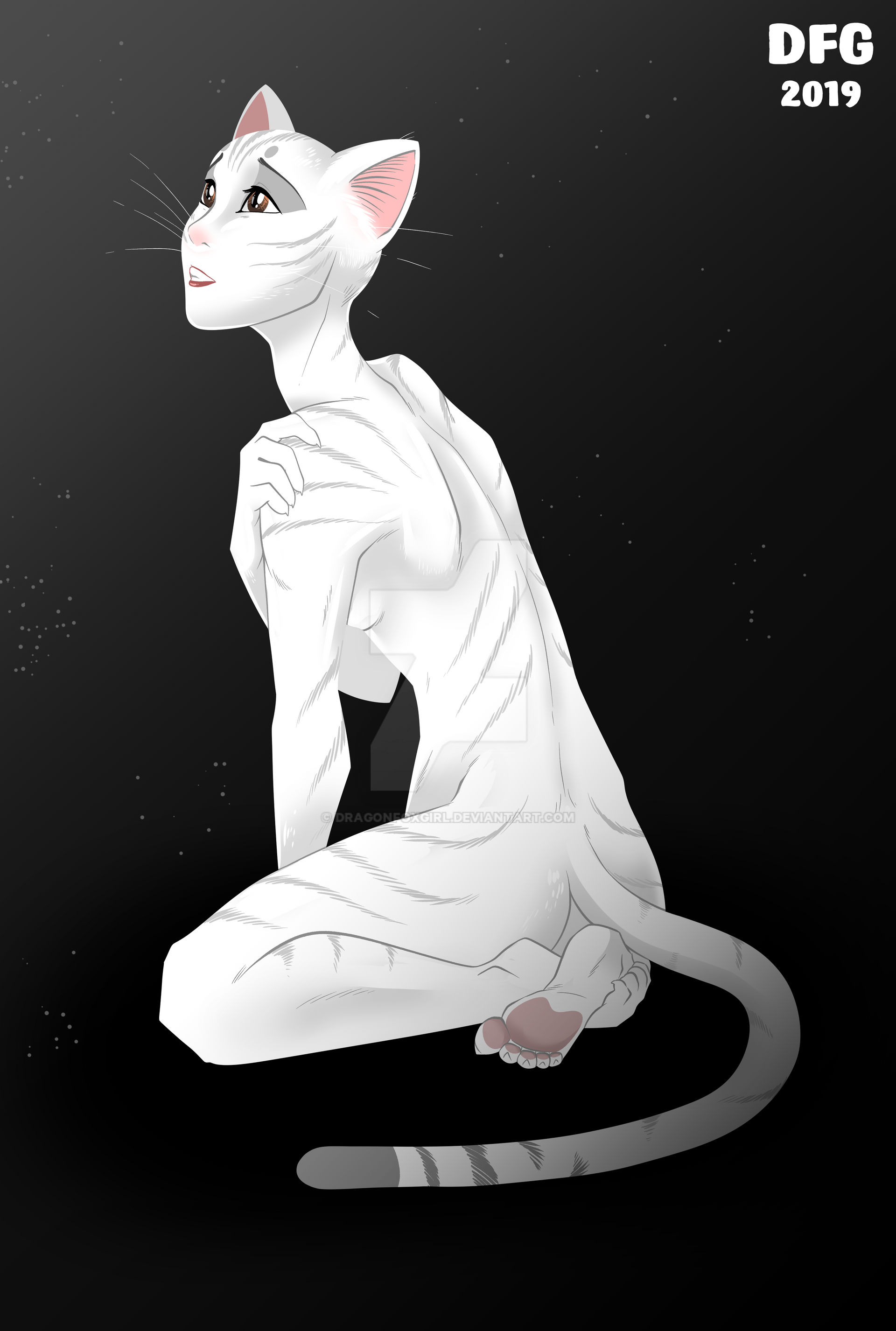 Deviantart Cat 02