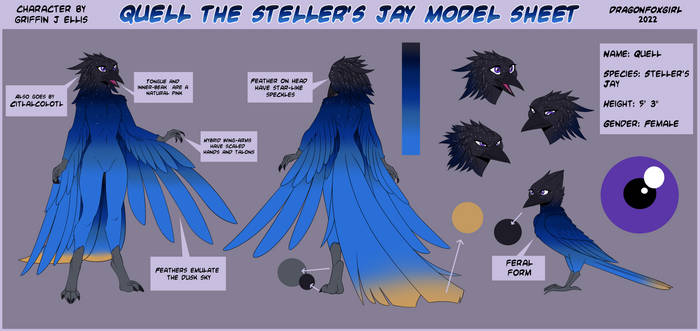 Quell Model Sheet