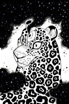 Mind Galaxy Jaguar.