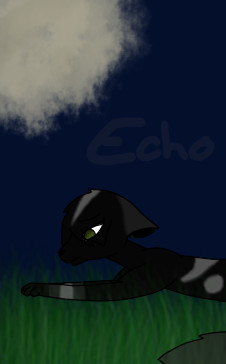 Echo Fanart by AlternatReality on DeviantArt