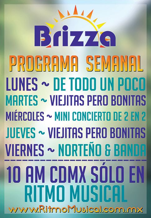 Brizza Programacion