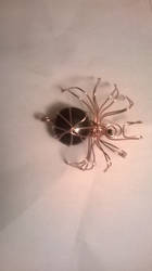 wire spider 6