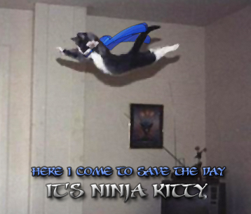 Ninja Kitty saves the day