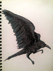 Crow 2