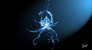 Water Spider