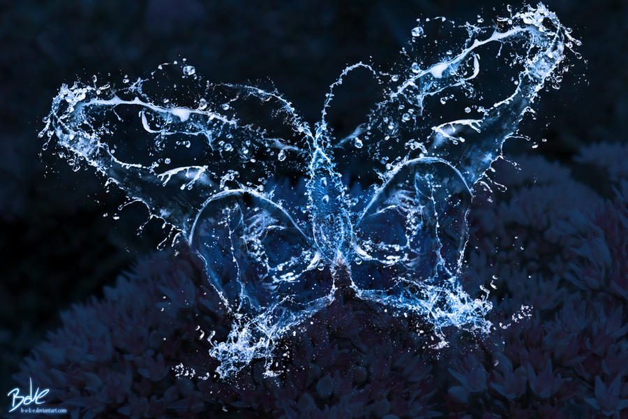 Water Butterfly II