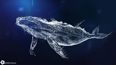 Water Whale