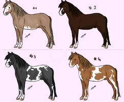 Horse Adoptables [NEW] - OPEN