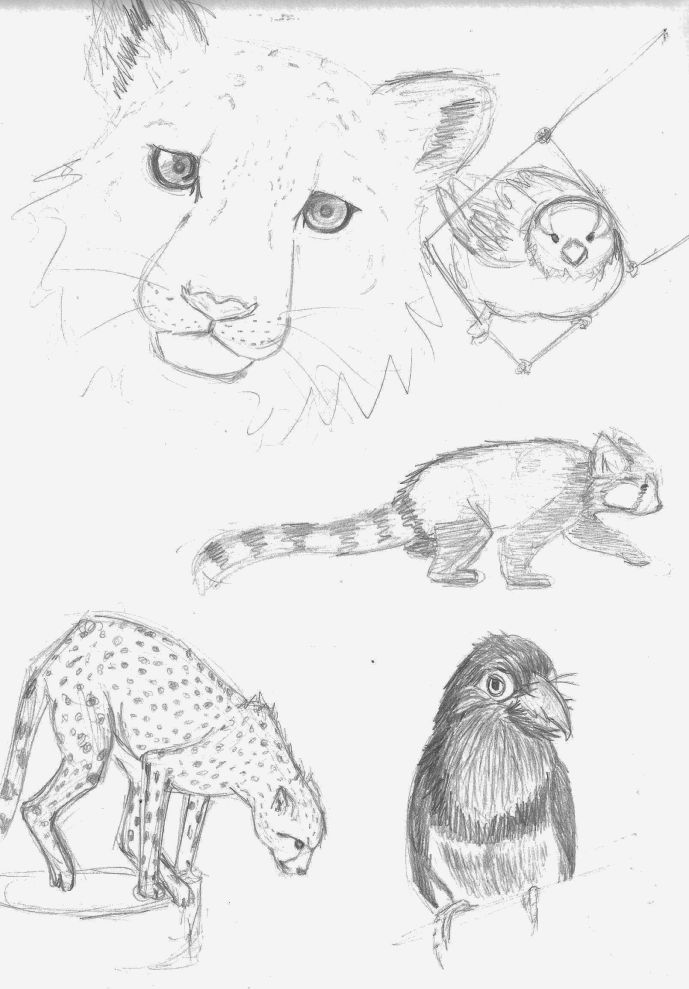 Random animals sketches by linka1333 on DeviantArt