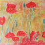 Poppies