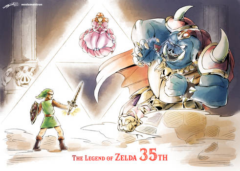 The Legend of Zelda 35th
