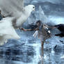 The fight