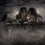 Gothic Angel