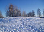Winter 54 by KarinClaessonArt