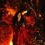 Fire and Dragons